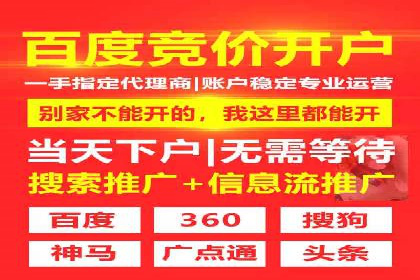 搜索引擎营销（SEM）广告的创意与执行案例
